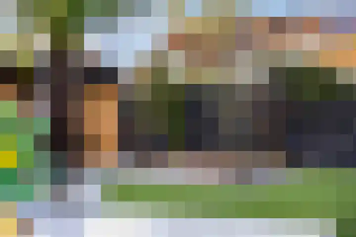 Holstraat 7 Thorn thumbnail 60
