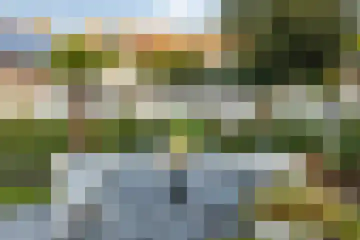 Holstraat 7 Thorn thumbnail 61