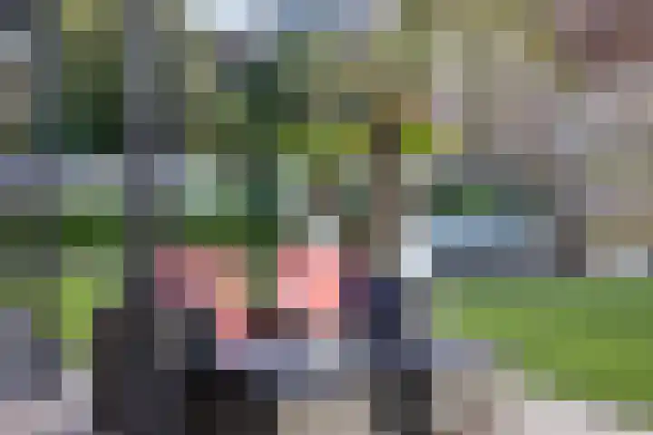 Holstraat 7 Thorn thumbnail 67