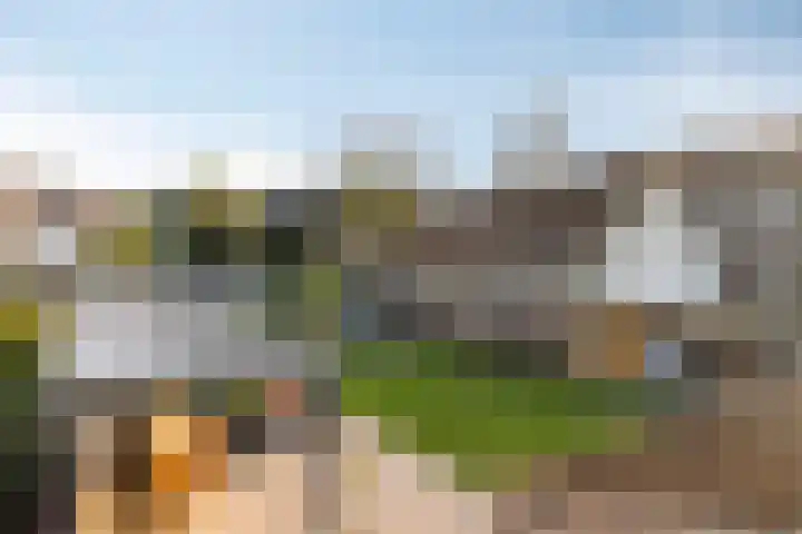 Holstraat 7 Thorn thumbnail 69