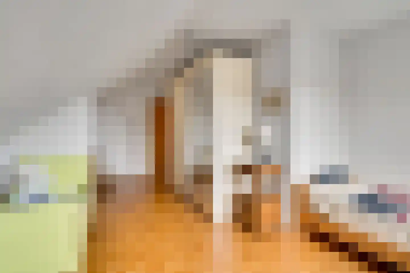 Holstraat 93 Meerssen thumbnail 15