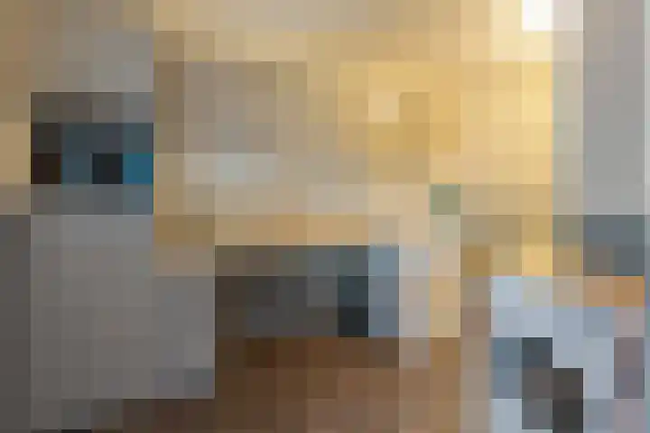 Holstweg 4 Olst thumbnail 12
