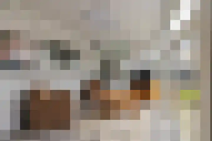 Holstweg 4 Olst thumbnail 13