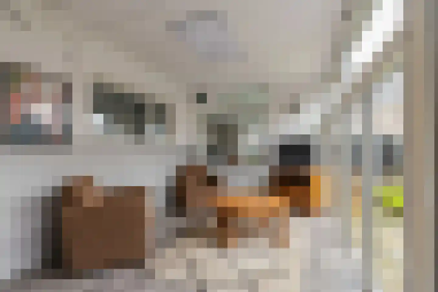 Holstweg 4 Olst thumbnail 13