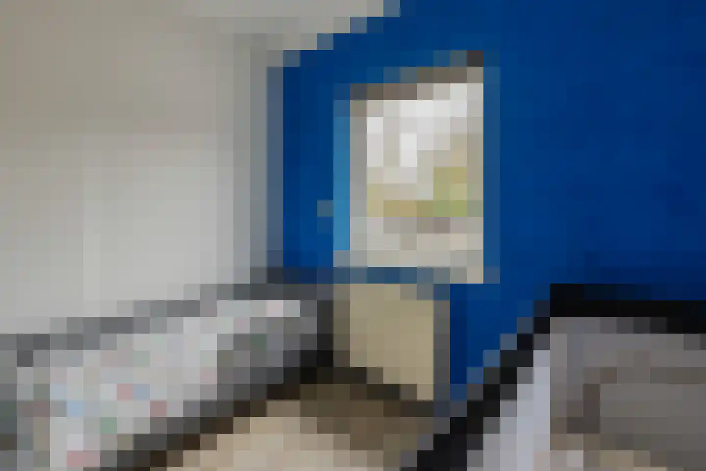 Holstweg 4 Olst thumbnail 19