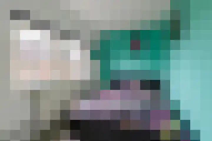 Holstweg 4 Olst thumbnail 22