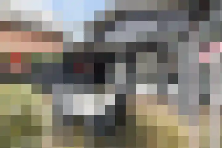 Holstweg 4 Olst thumbnail 31