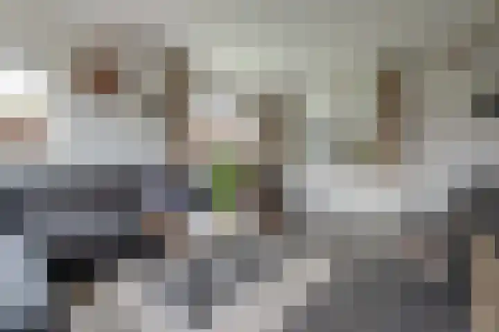Holstweg 4 Olst thumbnail 5