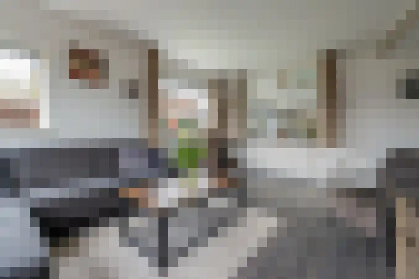 Holstweg 4 Olst thumbnail 5