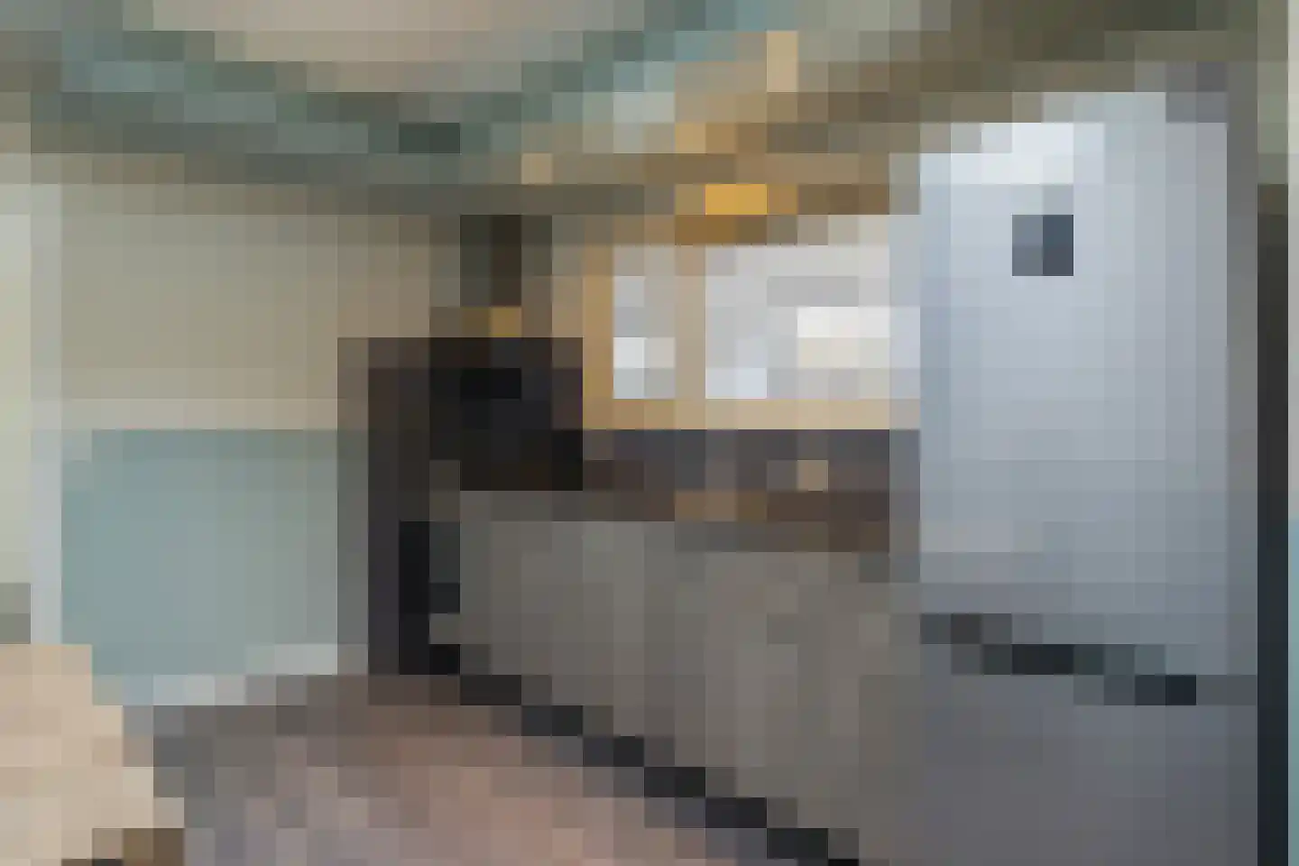 Holstweg 4 Olst thumbnail 8