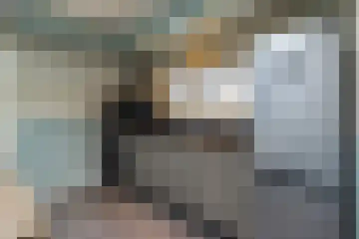 Holstweg 4 Olst thumbnail 8
