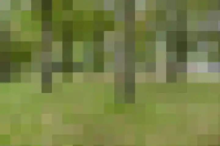 Holtackers 10 Emmen thumbnail 38