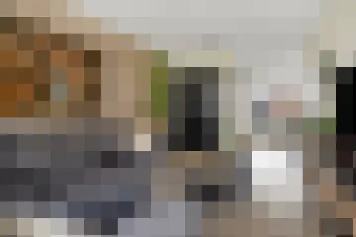 Holtackers 10 Emmen thumbnail 4