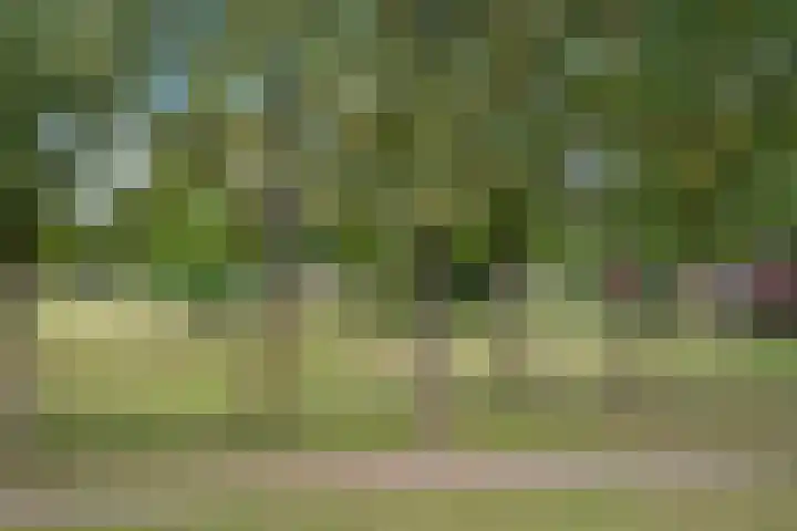 Holtackers 34 Emmen thumbnail 42