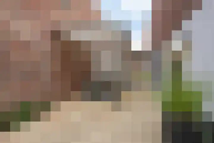 Holtackers 34 Emmen thumbnail 47
