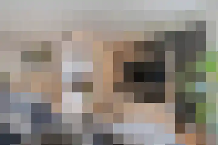 Holtackers 8 Emmen thumbnail 11