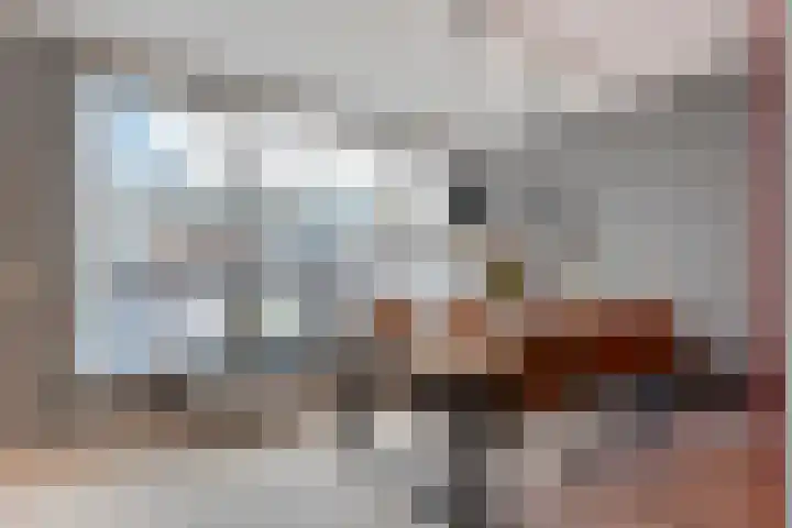 Holtackers 8 Emmen thumbnail 13