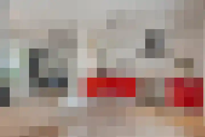 Holtackers 8 Emmen thumbnail 15
