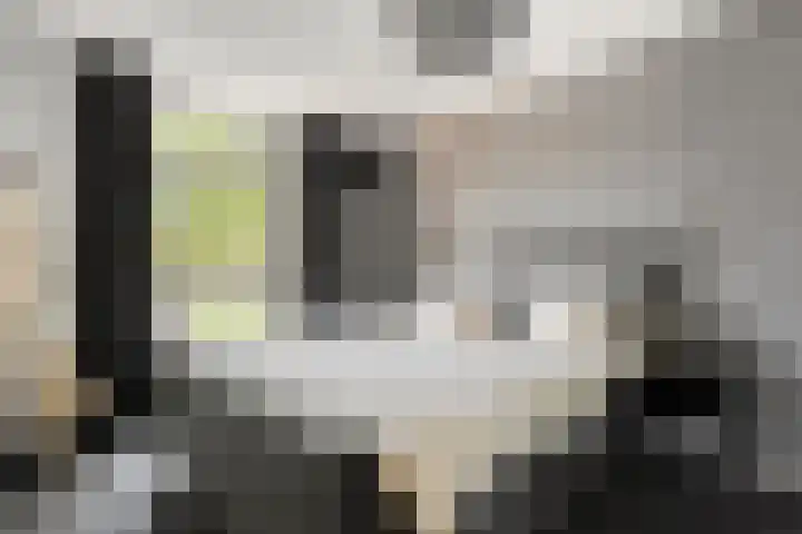 Holtackers 8 Emmen thumbnail 20