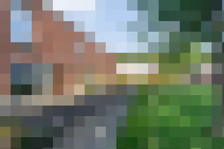 Holtackers 8 Emmen thumbnail 4