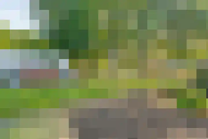 Holtackers 8 Emmen thumbnail 6