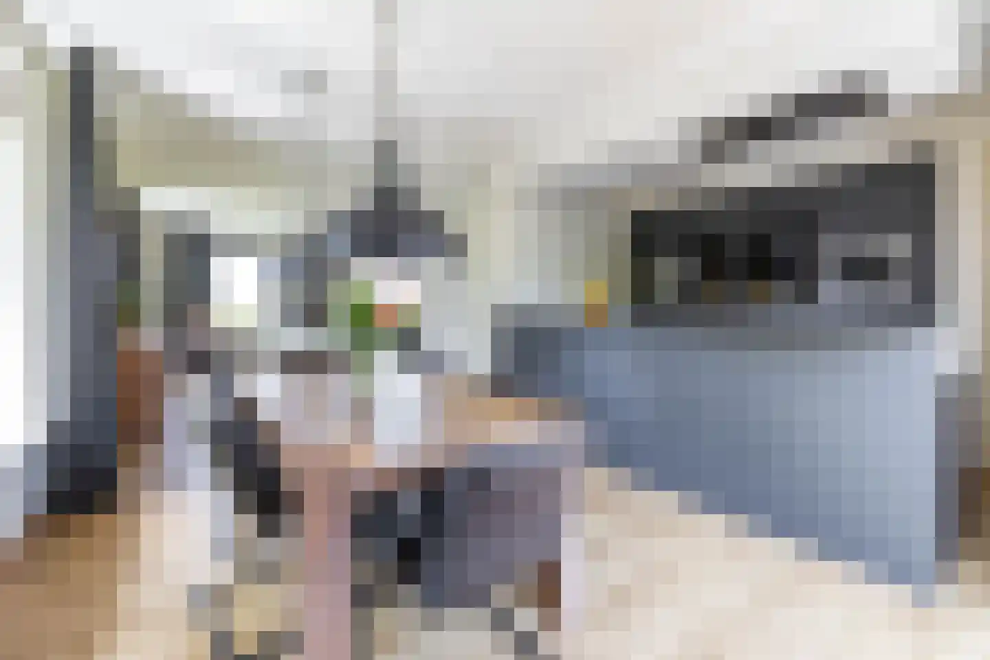 Holtdoef 21 Roden thumbnail 16