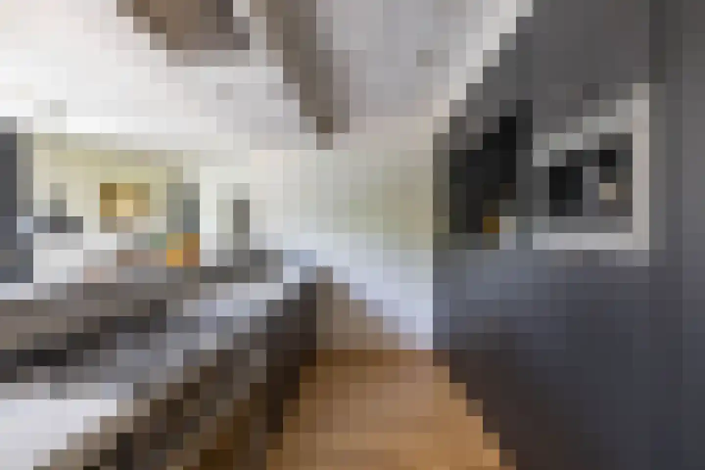 Holtdoef 21 Roden thumbnail 17