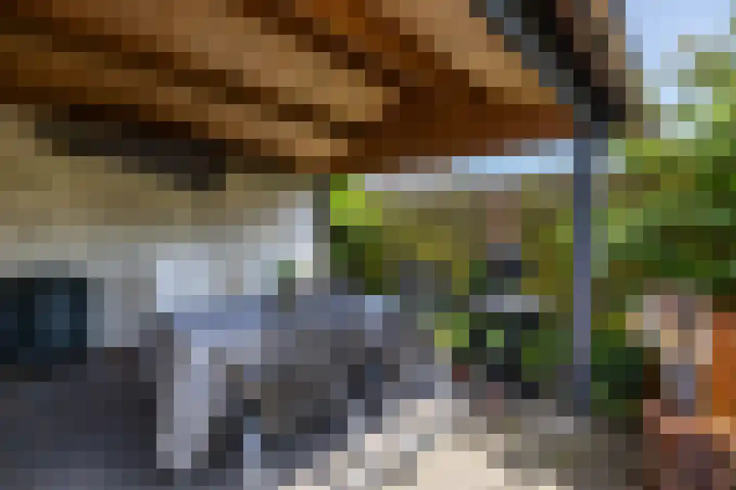 Holtdoef 21 Roden thumbnail 25