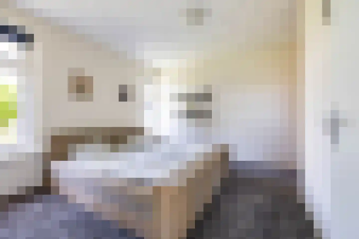 Holtdoef 21 Roden thumbnail 27