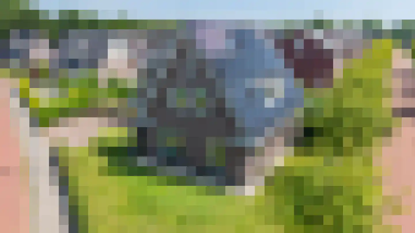 Holtdoef 21 Roden thumbnail 53