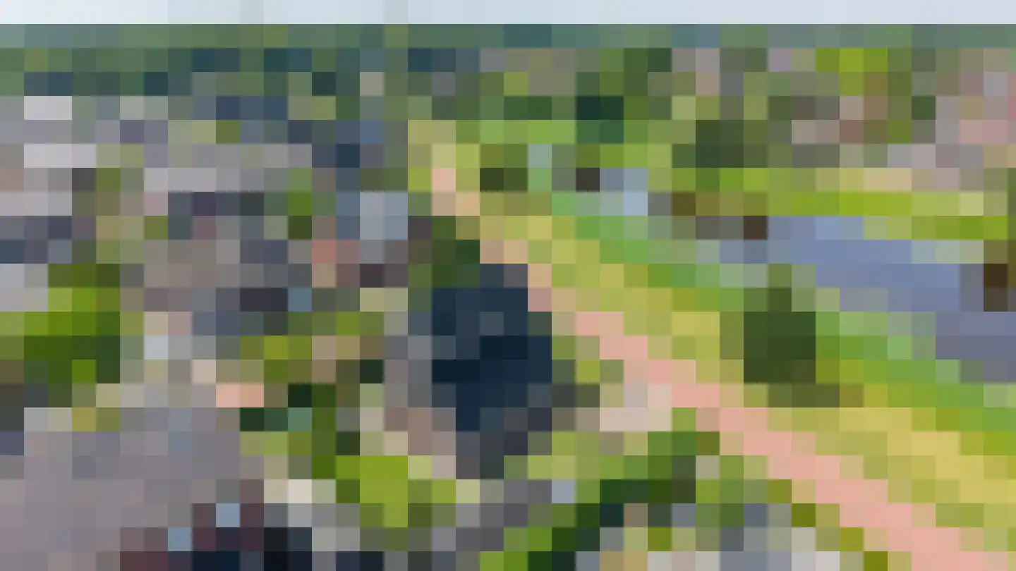 Holtdoef 21 Roden thumbnail 56