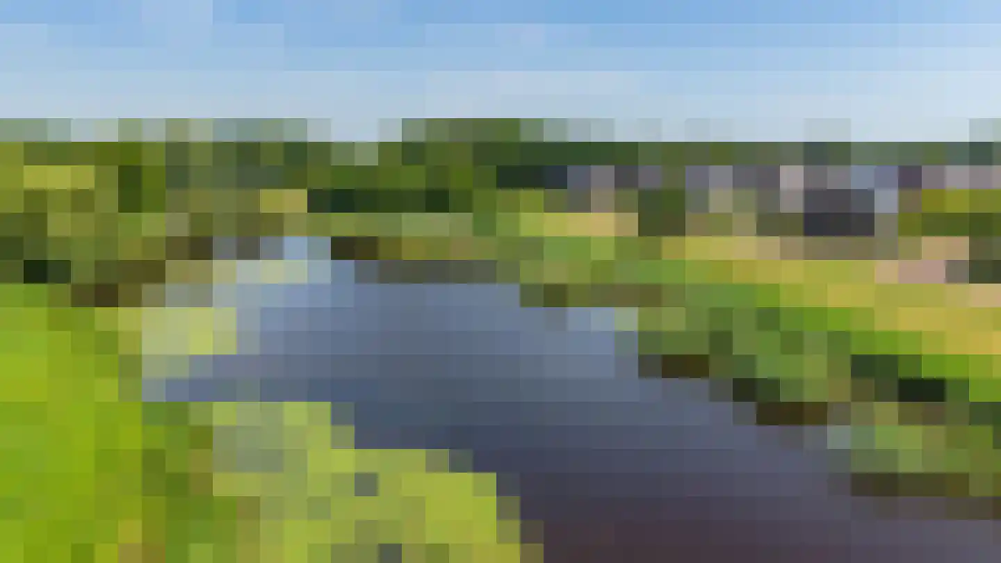 Holtdoef 21 Roden thumbnail 58