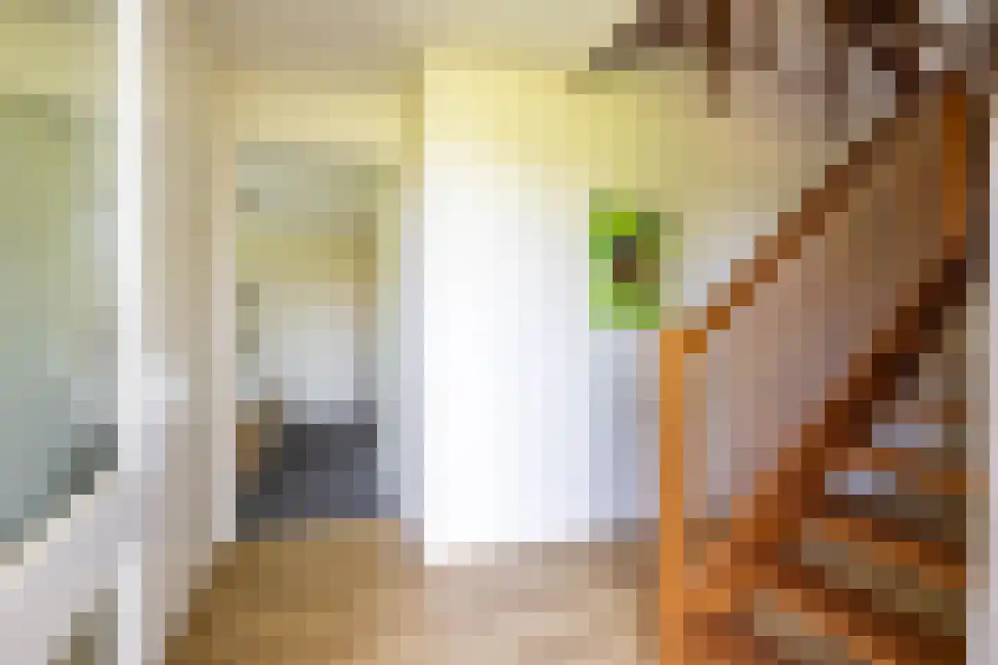 Holtdoef 21 Roden thumbnail 7
