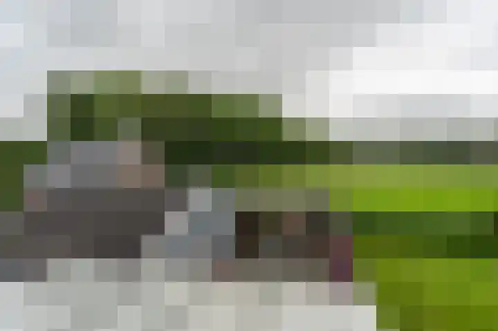 Holte 30 Onstwedde thumbnail 22