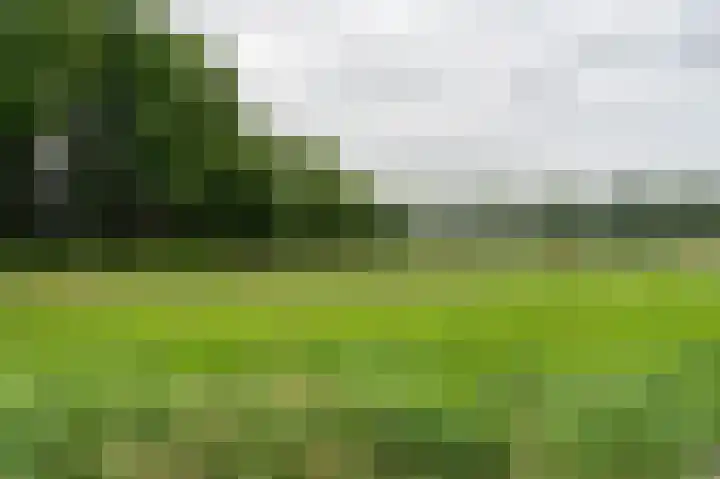 Holte 30 Onstwedde thumbnail 38