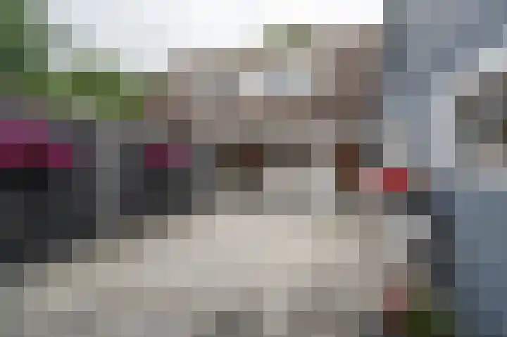 Holte 30 Onstwedde thumbnail 40