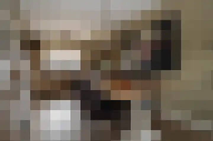 Holte 30 Onstwedde thumbnail 8