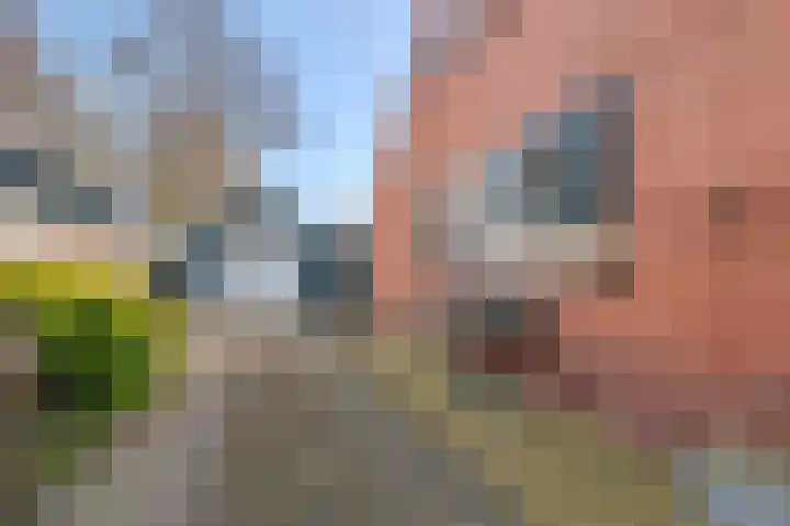 Holte 68 Onstwedde thumbnail 7
