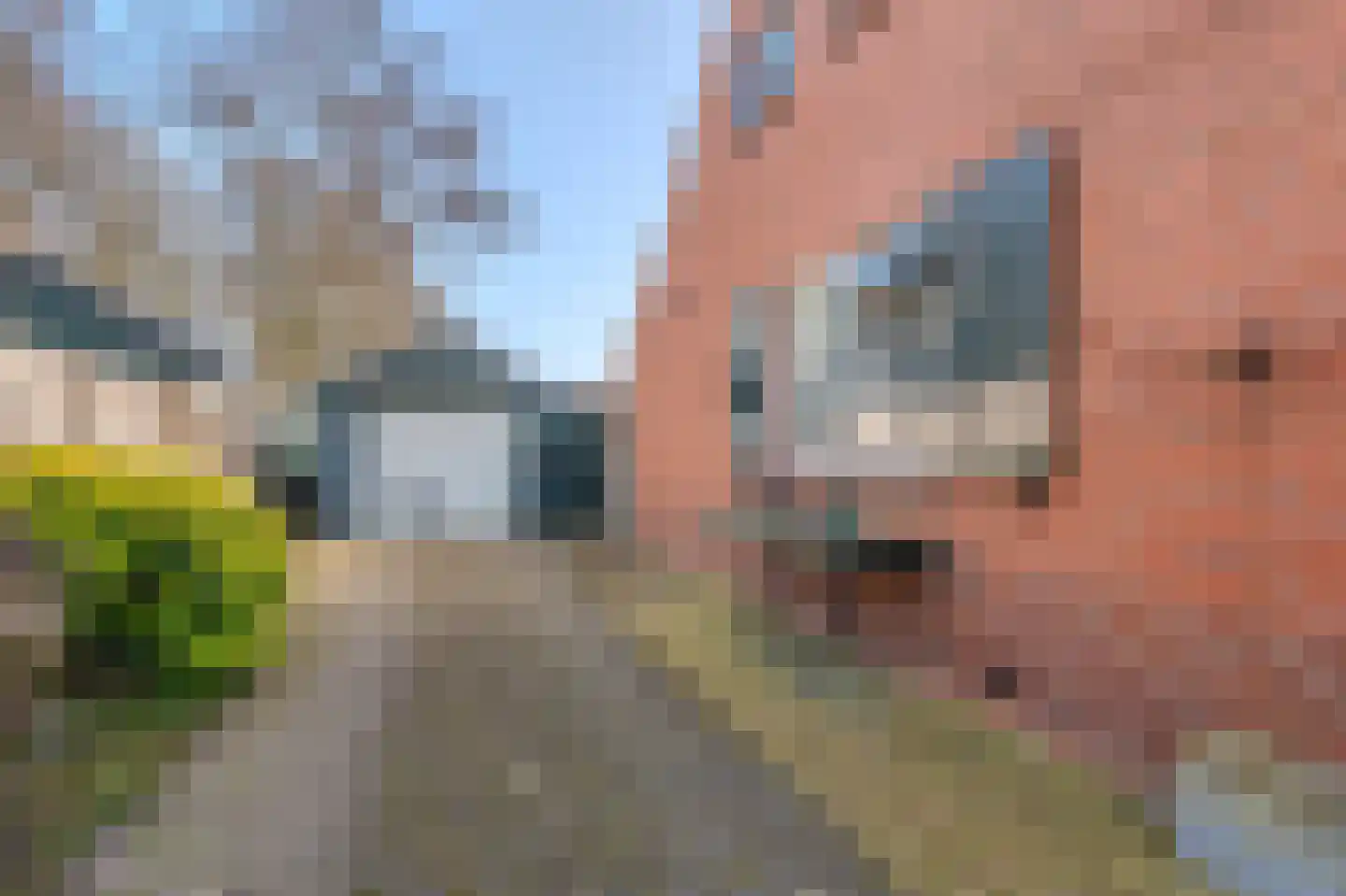 Holte 68 Onstwedde thumbnail 7