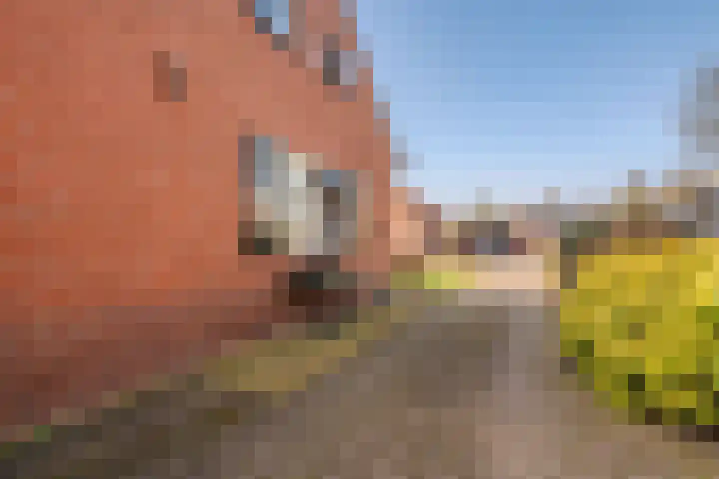 Holte 68 Onstwedde thumbnail 8