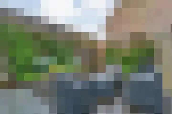 Holtenbroekerweg 7 Zwolle thumbnail 36