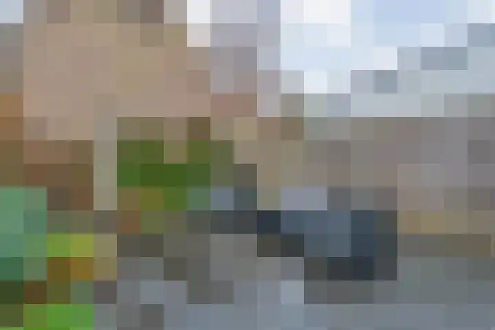 Holtenbroekerweg 7 Zwolle thumbnail 37