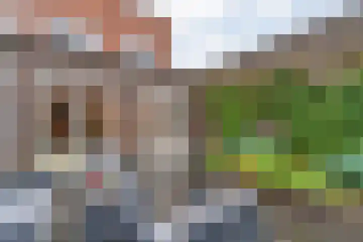 Holtenbroekerweg 7 Zwolle thumbnail 38