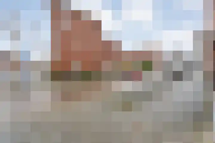 Holtenbroekerweg 7 Zwolle thumbnail 42