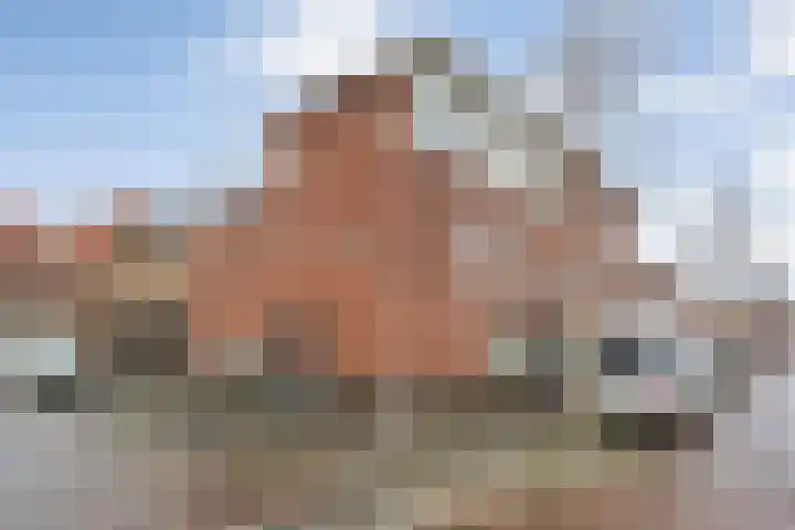 Holtenbroekerweg 7 Zwolle thumbnail 43