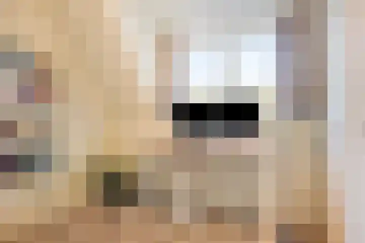 Holtenstraat 41 Tilburg thumbnail 32