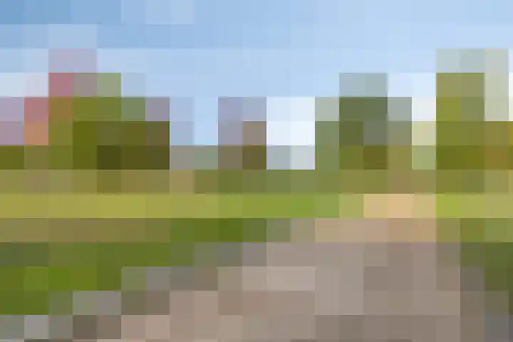 Holtenstraat 41 Tilburg thumbnail 43