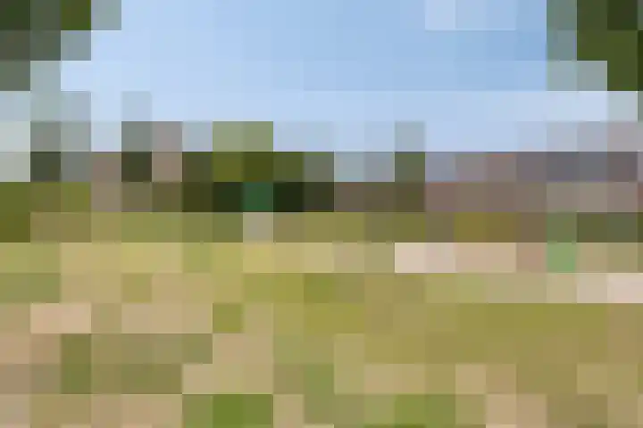 Holtenstraat 63 Tilburg thumbnail 35
