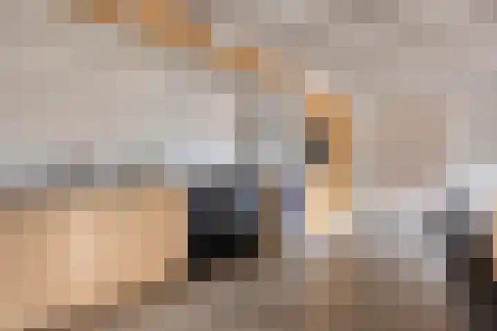 Holtentorensweg 35 Rijssen thumbnail 15