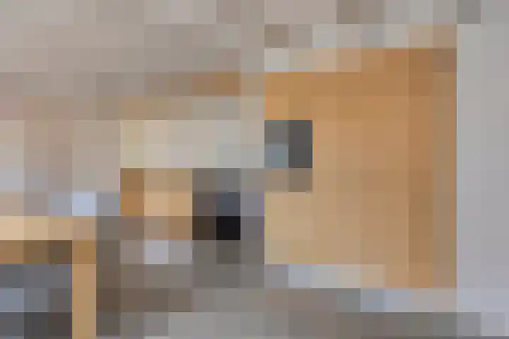 Holtentorensweg 35 Rijssen thumbnail 16